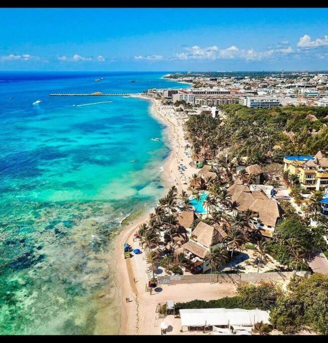 Your Exclusive Studio In The City - Top Amenities & Services For Free!! Playa del Carmen Buitenkant foto