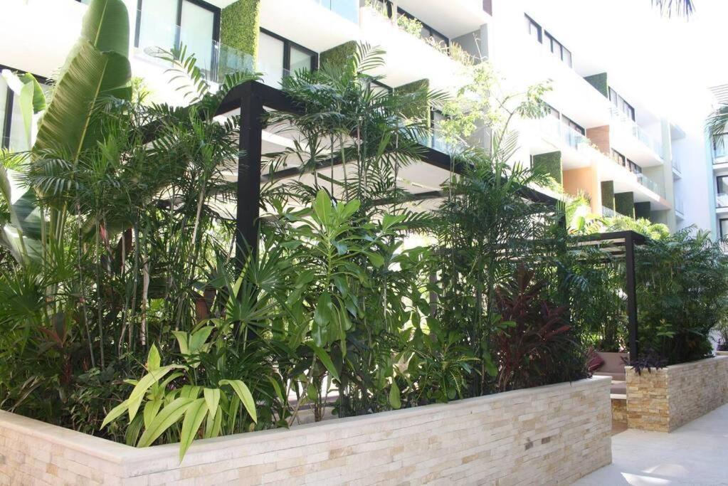 Your Exclusive Studio In The City - Top Amenities & Services For Free!! Playa del Carmen Buitenkant foto
